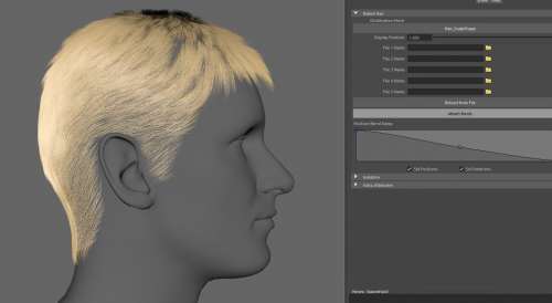 3D Hair Asset for Animation Download